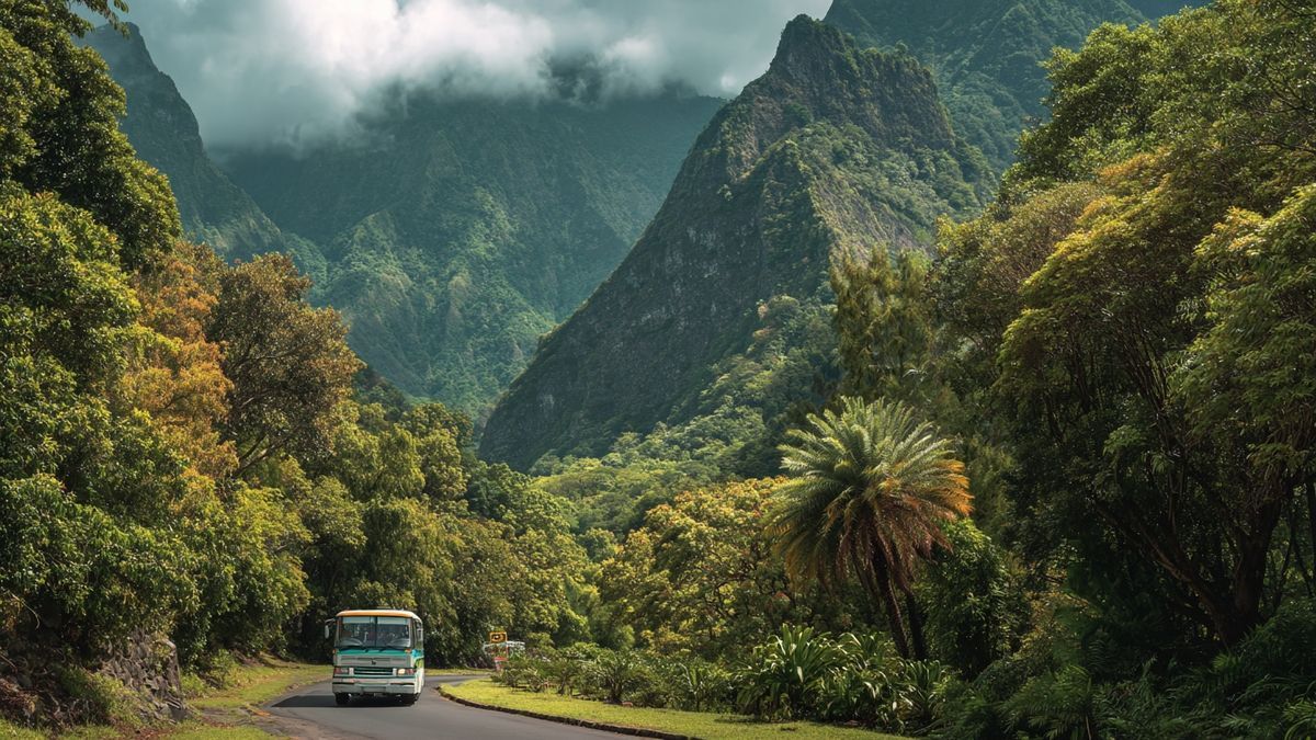 Comment la région Réunion intervient-elle dans les transports ?