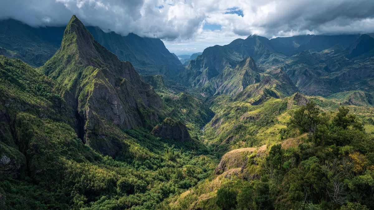 Quelles plantes endémiques découvrir à La Réunion ? Pourquoi la flore endémique de La Réunion est-elle si diversifiée ?