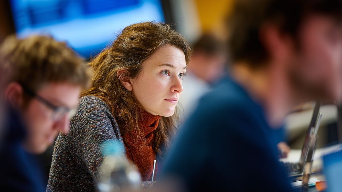 Quel est le rôle des écoles doctorales dans le parcours doctoral ?