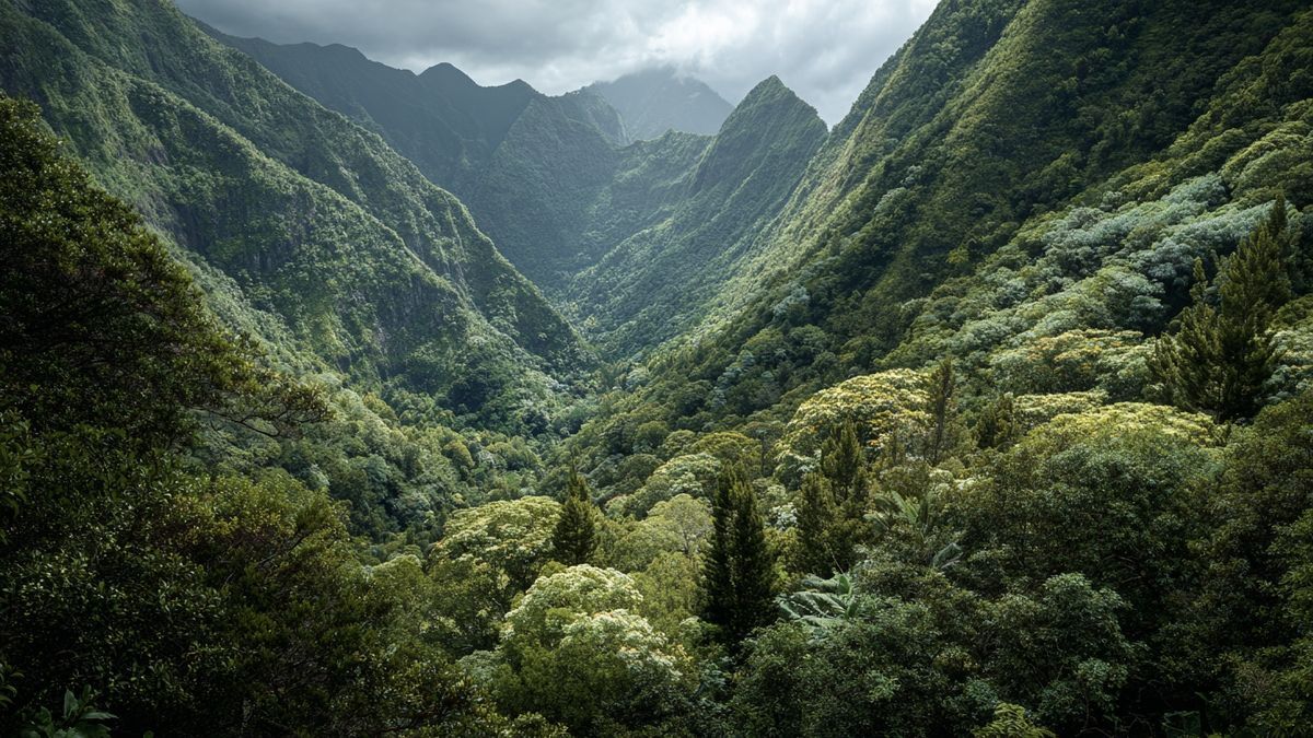 Quels impacts sur la biodiversité à La Réunion ?