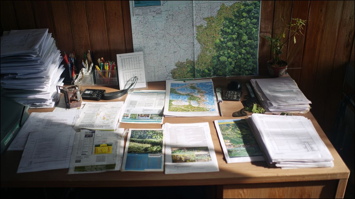 Quels sont les avantages sociaux ou professionnels liés au mandat d’élu local ?